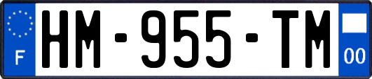 HM-955-TM