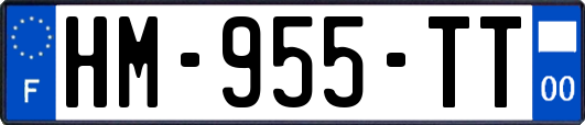 HM-955-TT
