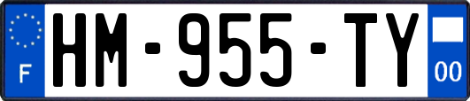 HM-955-TY