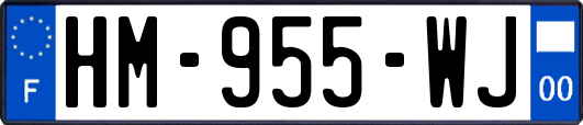 HM-955-WJ