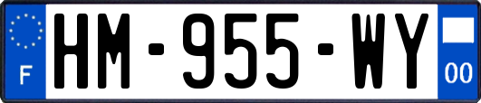 HM-955-WY