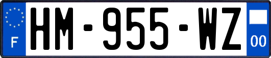 HM-955-WZ