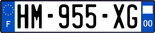 HM-955-XG