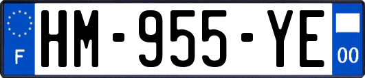 HM-955-YE