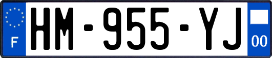 HM-955-YJ