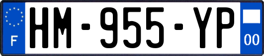 HM-955-YP