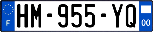 HM-955-YQ