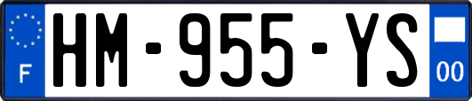 HM-955-YS