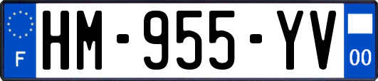 HM-955-YV
