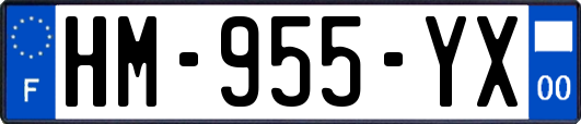 HM-955-YX