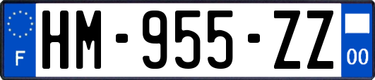 HM-955-ZZ