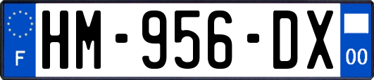 HM-956-DX