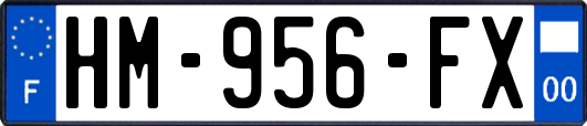 HM-956-FX