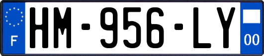 HM-956-LY