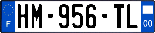 HM-956-TL