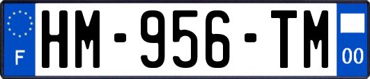 HM-956-TM