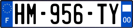 HM-956-TY