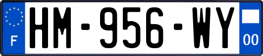 HM-956-WY
