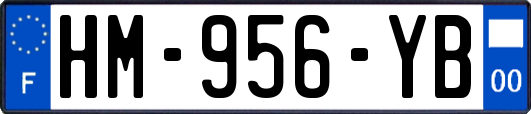 HM-956-YB