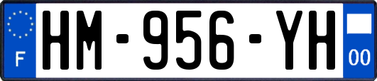 HM-956-YH