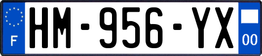 HM-956-YX