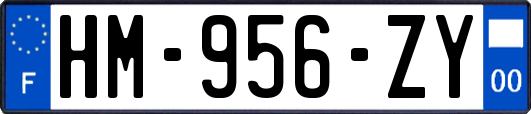 HM-956-ZY