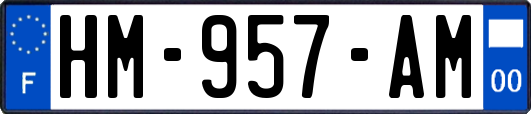 HM-957-AM