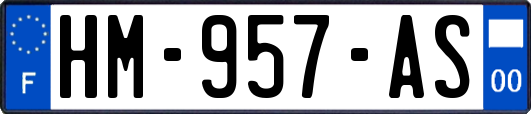 HM-957-AS