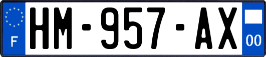 HM-957-AX