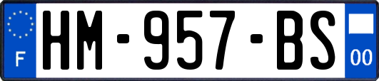 HM-957-BS