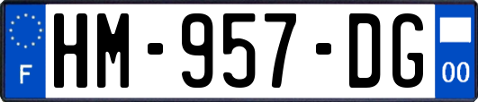 HM-957-DG