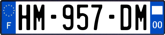 HM-957-DM