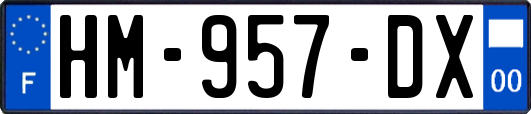HM-957-DX
