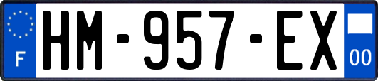 HM-957-EX