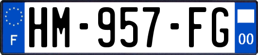 HM-957-FG