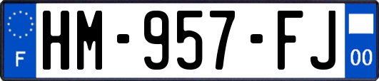 HM-957-FJ