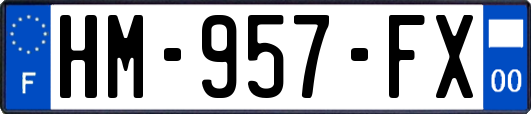 HM-957-FX