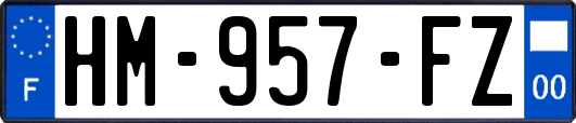 HM-957-FZ