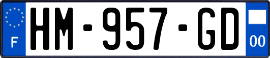 HM-957-GD