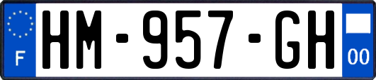HM-957-GH