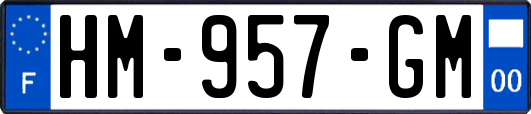 HM-957-GM