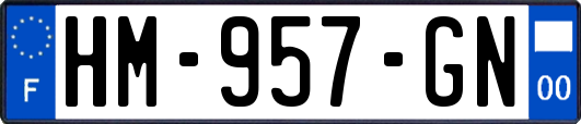 HM-957-GN