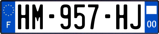 HM-957-HJ