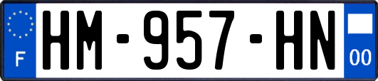 HM-957-HN