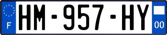 HM-957-HY