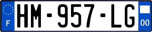 HM-957-LG