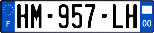 HM-957-LH