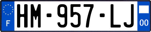 HM-957-LJ