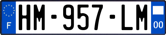 HM-957-LM