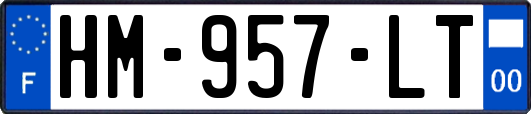 HM-957-LT